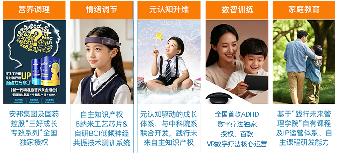 五维一体协同模型示意图