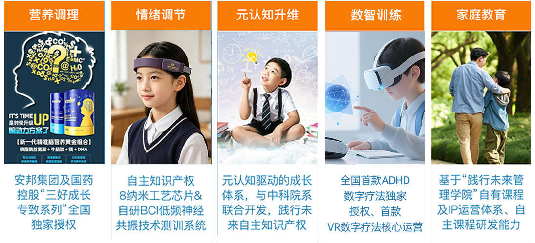 五维一体协同模型示意图
